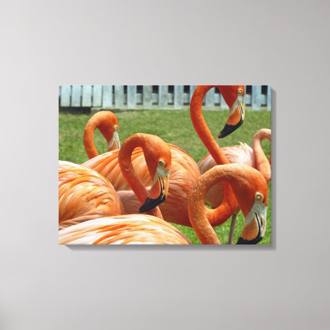 Flamingos arriba cerca de la impresión de lienzo (Anverso)