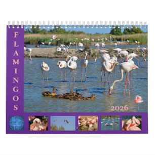 Flamingos calendario de 12 meses