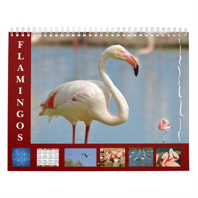 Flamingos calendario de 12 meses (Tapa)