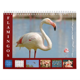 Flamingos calendario de 12 meses