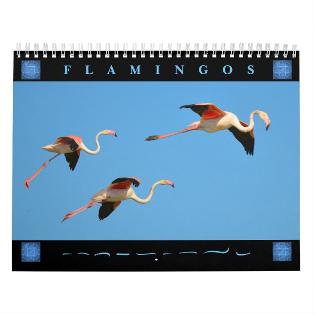 Flamingos calendario de 12 meses (Tapa)