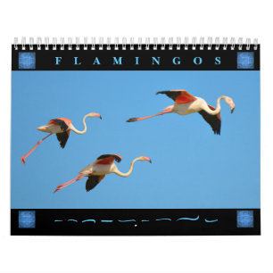 Flamingos calendario de 12 meses