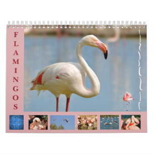 Flamingos calendario de 12 meses