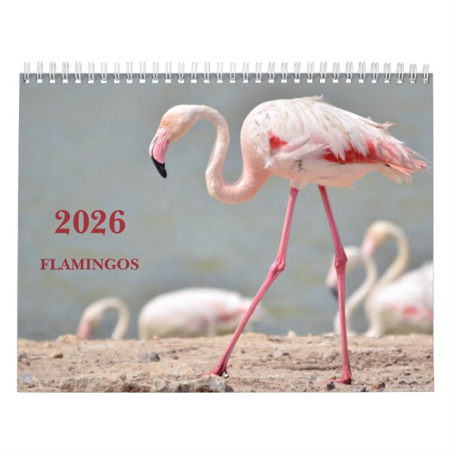 Flamingos de Calendario 2023 (Tapa)