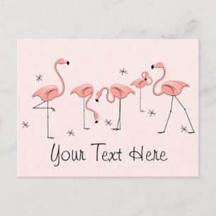 Flamingos Postal de texto del grupo rosa