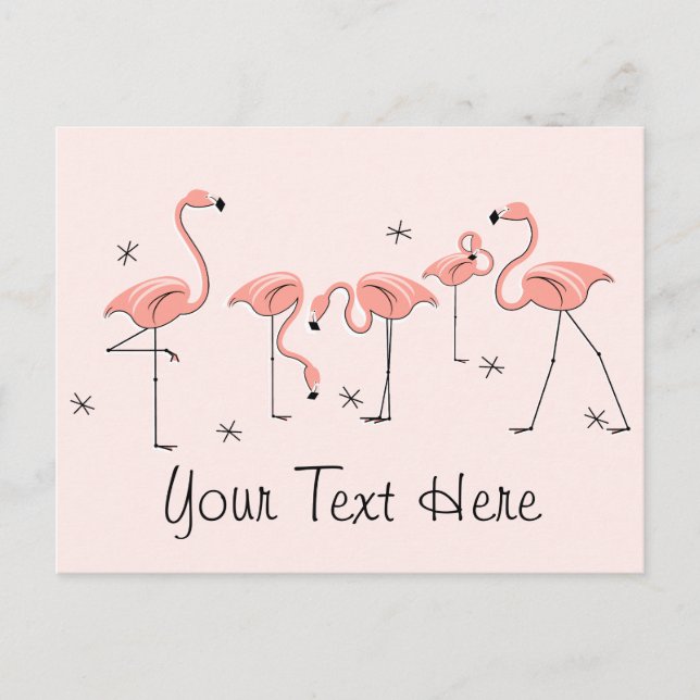 Flamingos Postal de texto del grupo rosa (Anverso)