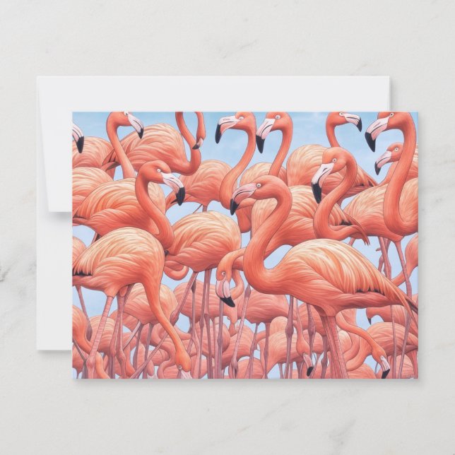 Flamingos, Tarjeta de Felicitación (Anverso)