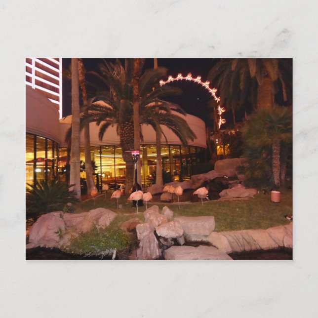Flamingos, tarjeta postal de Las Vegas (Anverso)