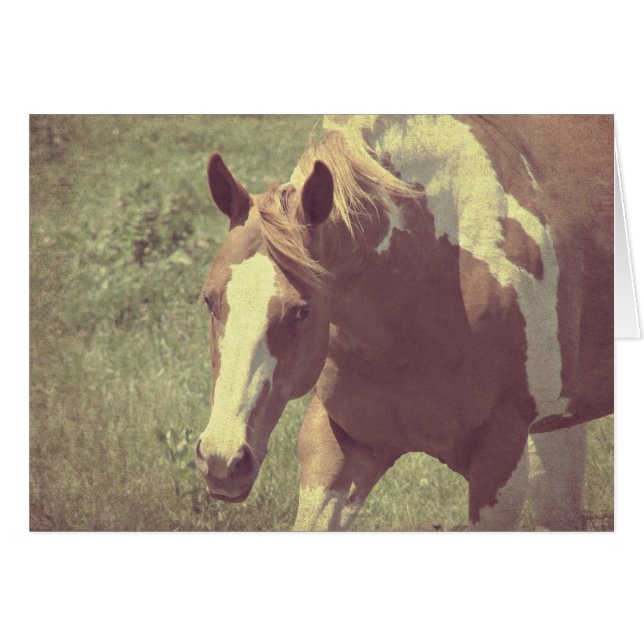 Flashy Faux Vintage (Anverso (Horizontal))