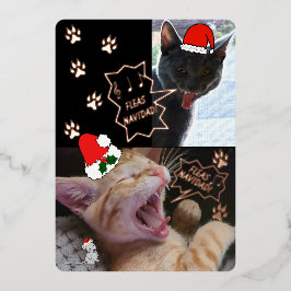 Fleas Navidad Canta gatos Navidades Tarjeta de sal