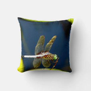Flélula de almohada azul profunda, ojos verdes