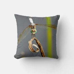 Flélula verde azulada de almohada de cal gris y am