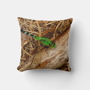 Flélula verde de almohada marrón, ojos verdes