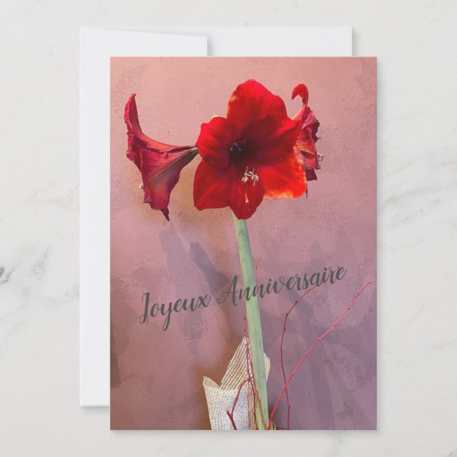 Fleur Amaryllis (Anverso)