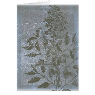 Fleur de Bleu I