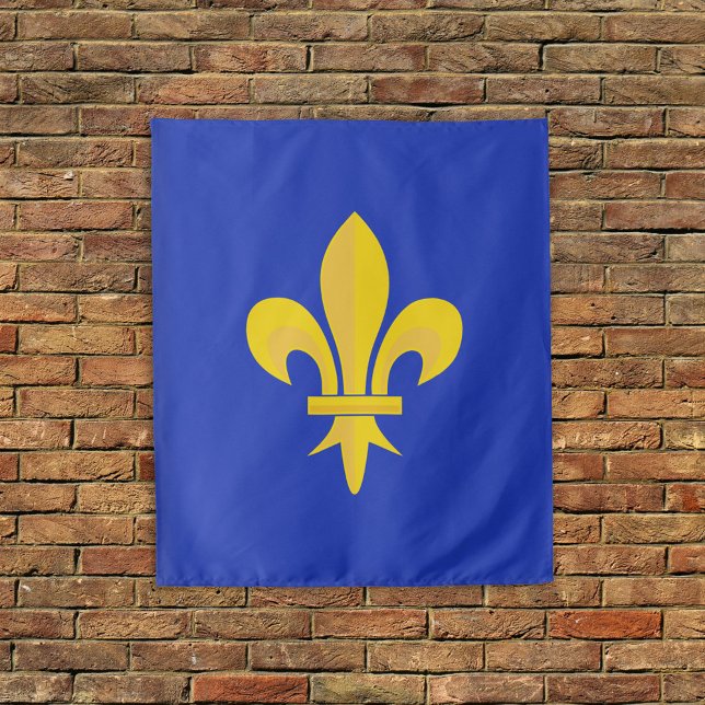Fleur de Lis sobre el tapiz azul real (Fleur de Lis on Royal Blue Tapestry)