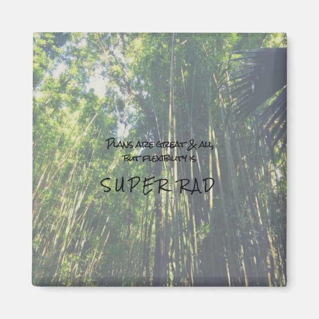 Flexibilidad: Imán de presupuesto súper grande (Frente)