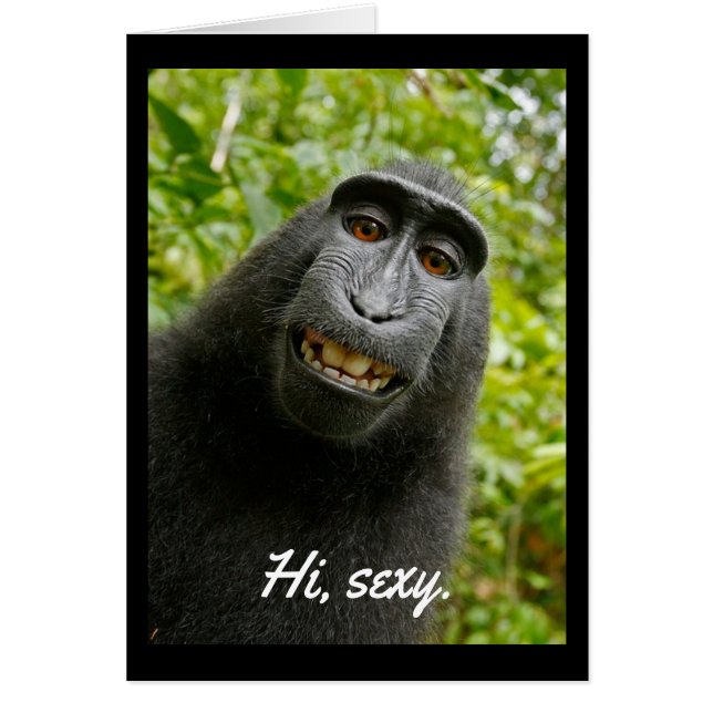 Flirty primate dice "Hola, sexy" (Frente)
