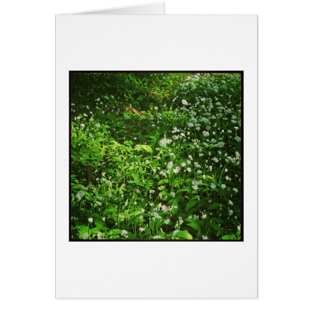 Floor de Woodland (Frente)