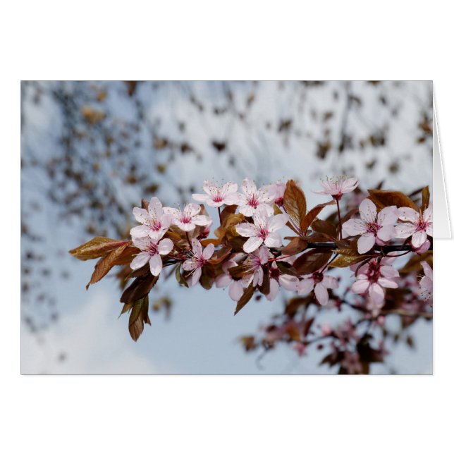 flor (Anverso (Horizontal))