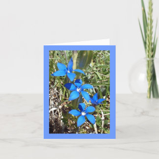 Flor alpina de la genciana azul -- Tarjeta de