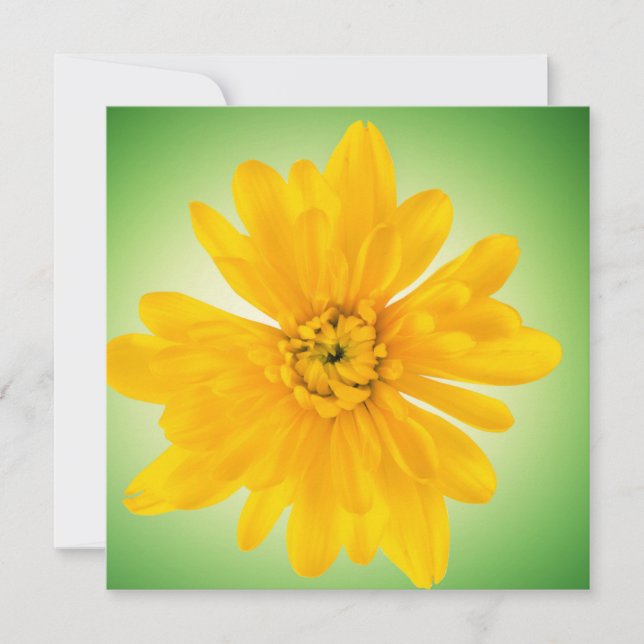 Flor amarilla (Anverso)