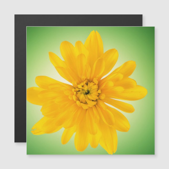 Flor amarilla (Anverso/Reverso)