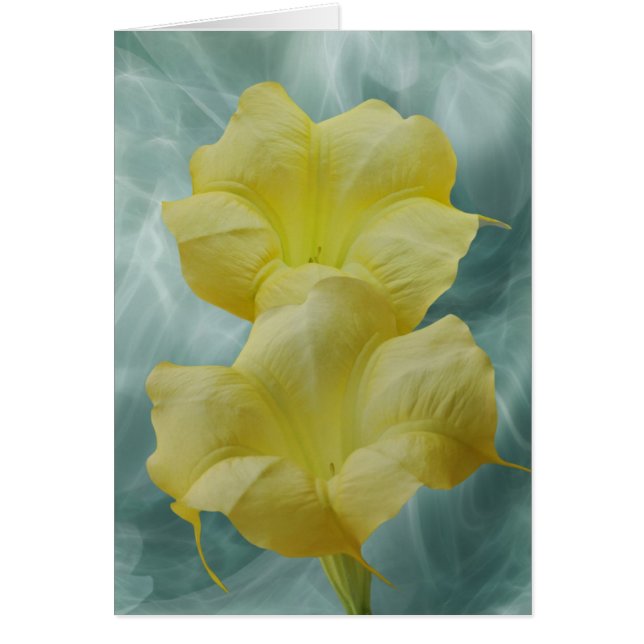 Flor amarilla de la luna (Frente)