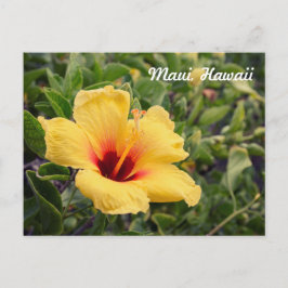 Flor amarilla hibiscus | Postal