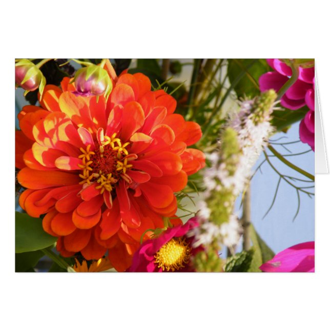 Flor anaranjada (Anverso (Horizontal))