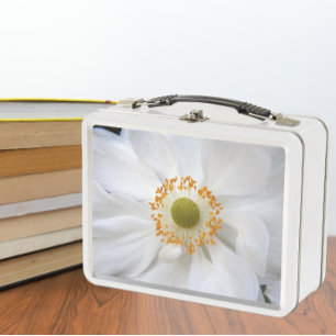 Flor anémona japonesa blanca