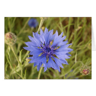 Flor azul