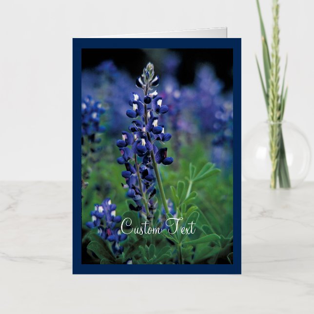Flor azul de campo azul de Bluebonnet (Anverso)