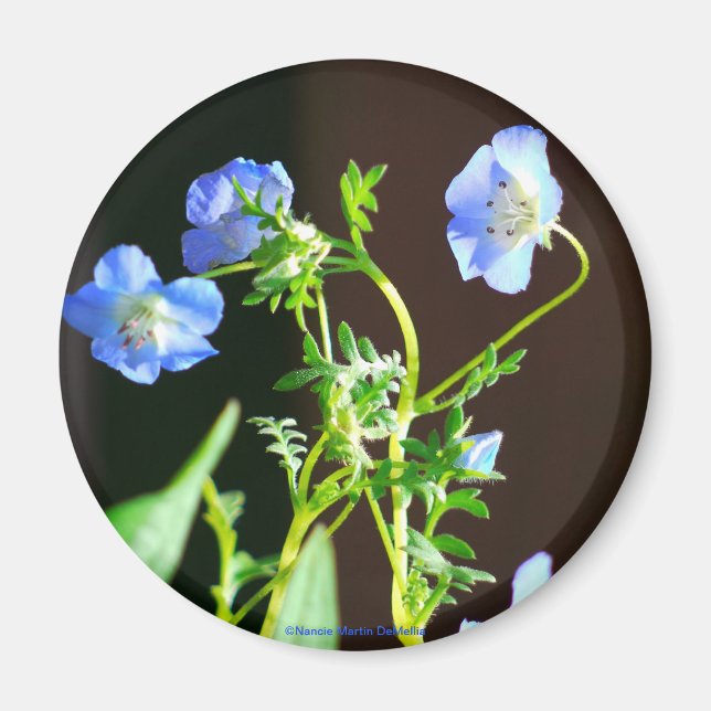 Flor azul imán (Frente)