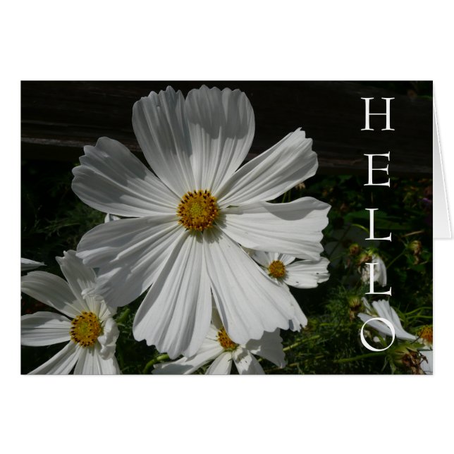 flor blanca (Anverso (Horizontal))