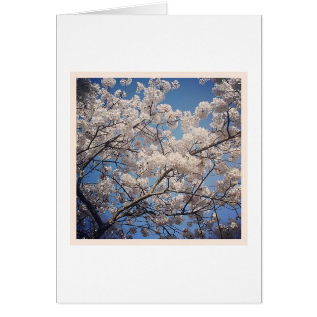 Flor blanca (Frente)