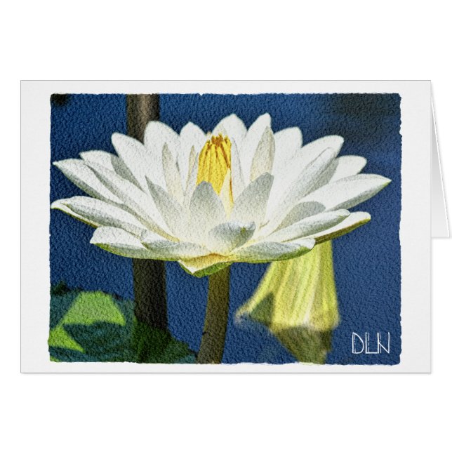 Flor blanca/Arte floral/ (Anverso (Horizontal))