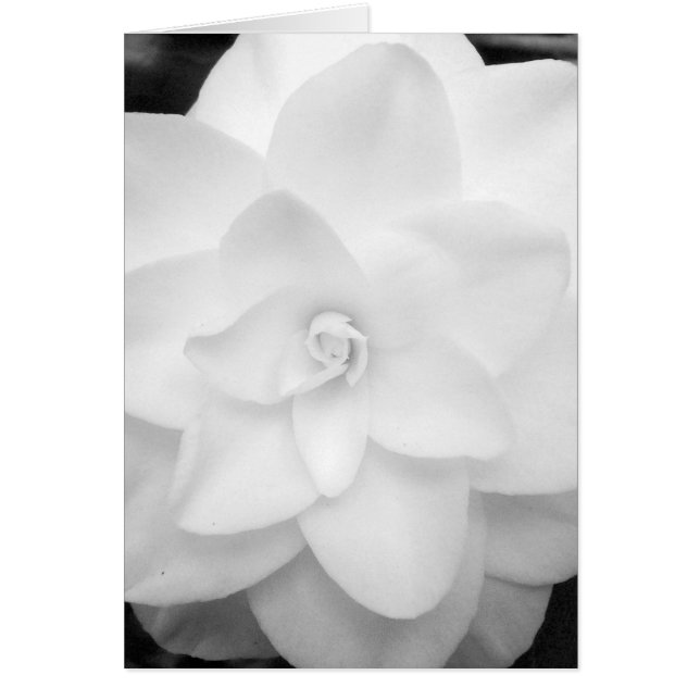 Flor blanca. (Blanco y negro) - Personalizado (Frente)