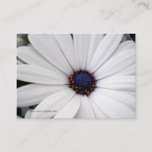 Flor blanca con la tarjeta de visita de centro