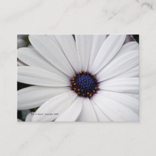 Flor blanca con la tarjeta de visita de centro (Anverso)