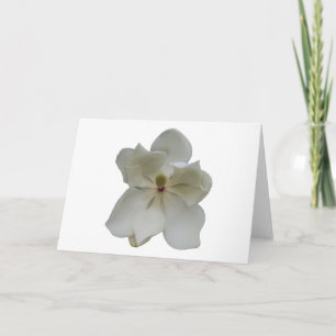 Flor blanca de la magnolia en tarjeta de nota en