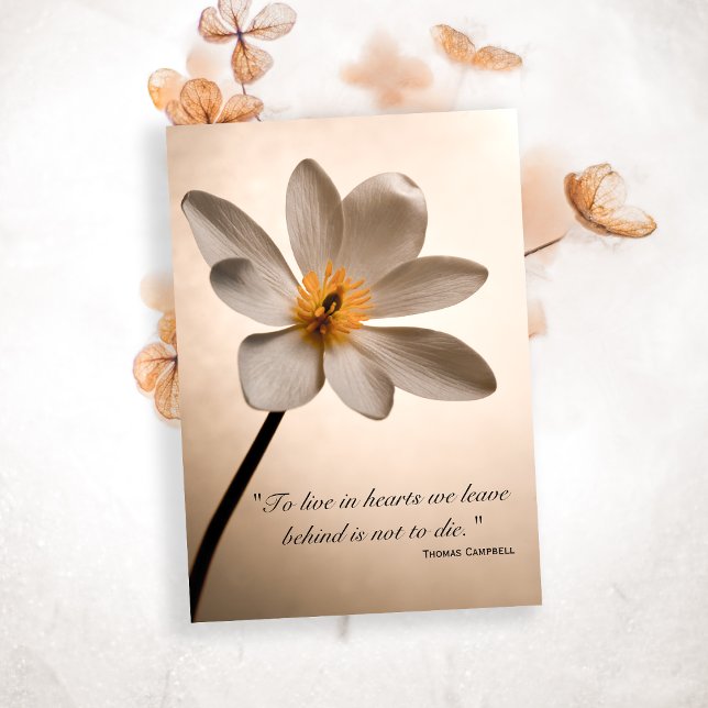 Flor blanca gracias por tu tarjeta de simpatía (Subido por el creador)