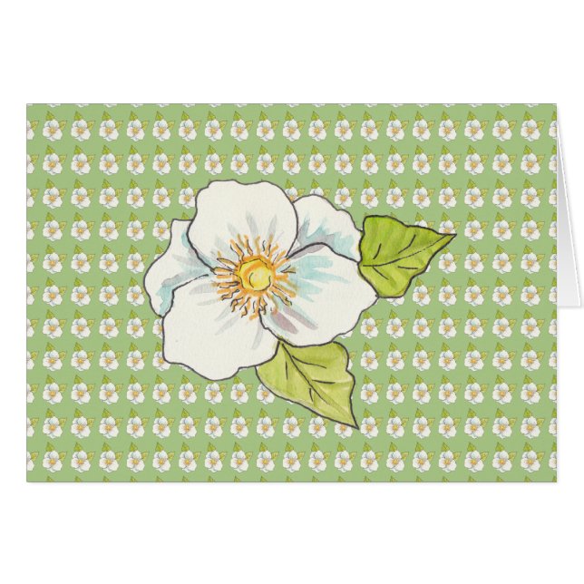 Flor blanca, interior en blanco (Anverso (Horizontal))