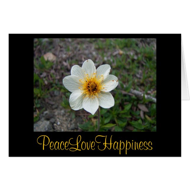 Flor blanca pequeña (Anverso (Horizontal))