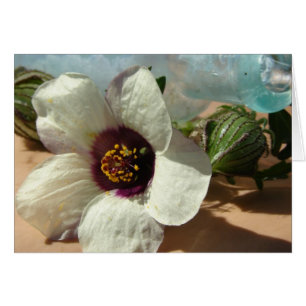 Flor blanca pequeña, frasco de cosecha, calabaza