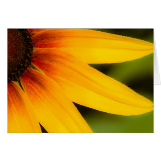 Flor brillante