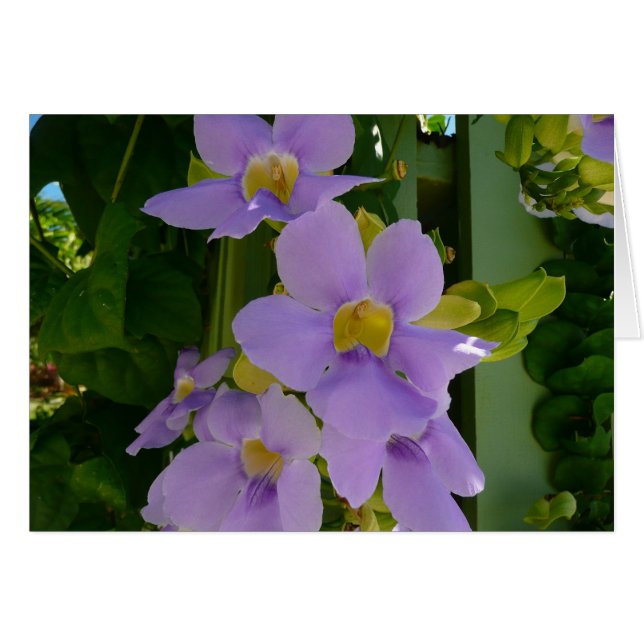 Flor cielo Vino Tropical Morado Floral (Anverso (Horizontal))