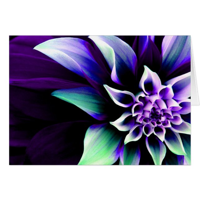 Flor colorida 3 (Anverso (Horizontal))