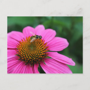 Flor con postal de Bee