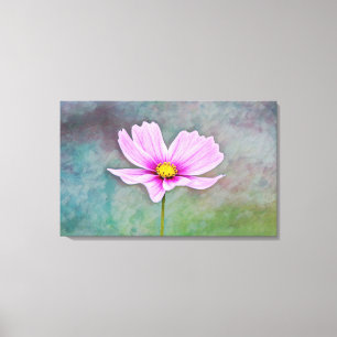 Flor Cosmos en arte fotográfico rosa